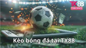 Giới thiệu kèo bóng đá TX88